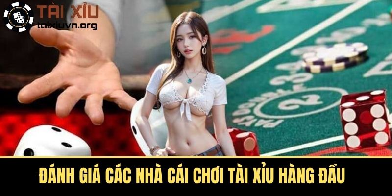 Đánh Giá Các Nhà Cái Chơi Tài Xỉu Hàng Đầu 