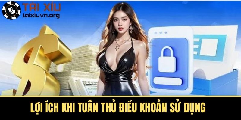 Lợi Ích Khi Tuân Thủ Điều Khoản Sử Dụng