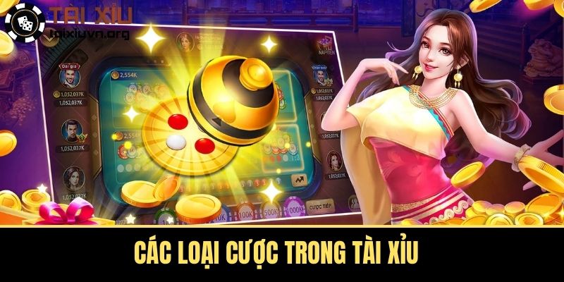Các loại cược trong tài xỉu