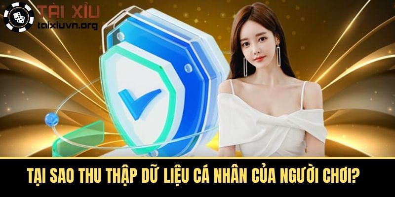 Tại sao thu thập dữ liệu cá nhân của người chơi?